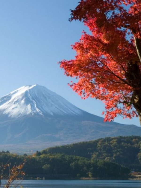 Cursos de verano de japonés en Fukuoka con actividades